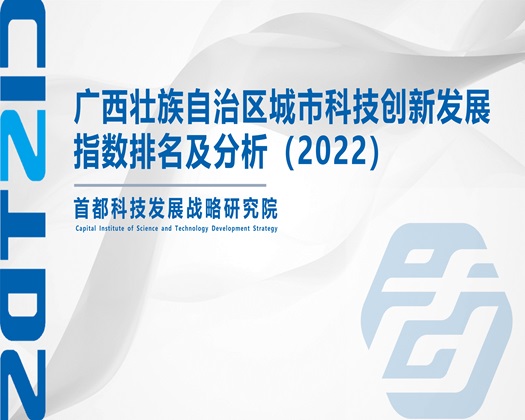 男插女逼下面视频【成果发布】广西壮族自治区城市科技创新发展指数排名及分析（2022）